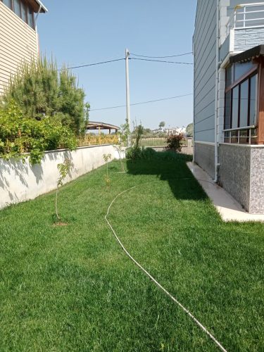 IMG20240518152506